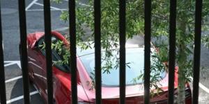 العالمي : ترامب يفكر بالتبرع بسيارة تسلا أو بيعها fxcc.ae