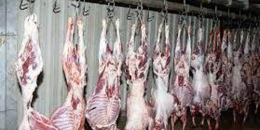 العالمي : برلمانية: تشديد الرقابة على المجازر وعمليات نحر اللحوم خلال عيد الأضحى fxcc.ae